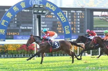 澳门马会传真内部消息|确保解答的绝对准确性_R版.4.249