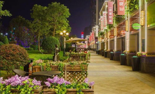 新奥天天彩正版免费资料|探索神秘古镇的魅力与风情_专用集.6.568