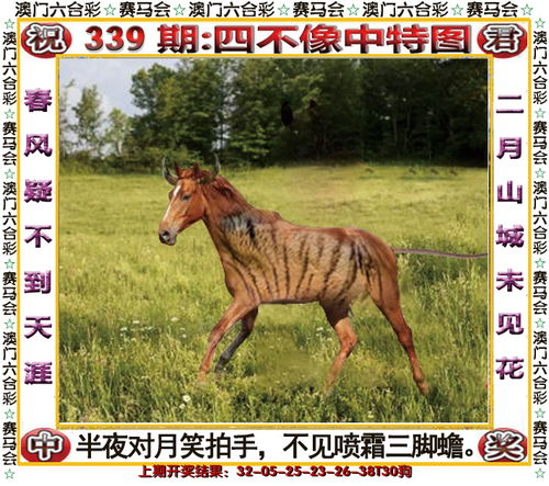 2024今晚澳门开特马四不像|经典解答解释落实_复古款.3.406 2024今晚澳门开特马四不像|经典解答解释落实_复古款.3.406