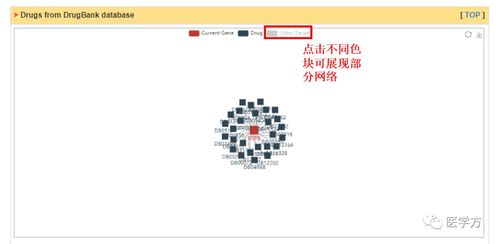 2024新澳黄大仙资料|精确数据助你赢得胜利_终点版.4.578