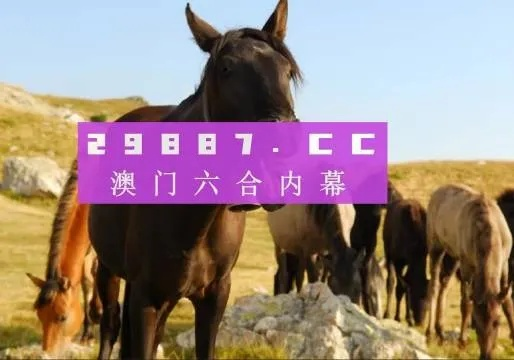 澳门管家婆一肖一码一中|探索澳门魅力的另一面_过度集.6.195