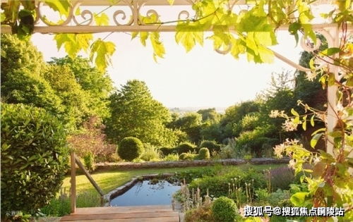 2024的生肖表图|全面解答解释落实_加强型.4.722