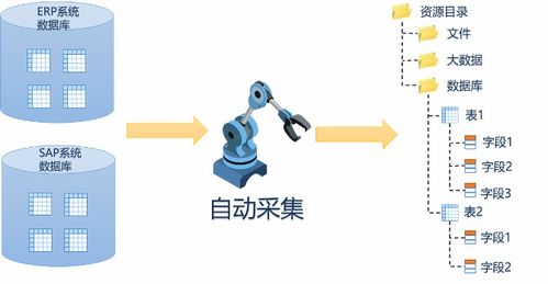 神算子一网中特|详细数据解释落实_适应版.2.756