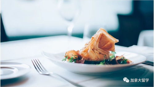 2023年正版免费资料大全|探索世界各地的美食奇观_网红版Meituan.7.319