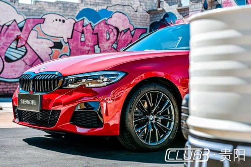 澳门三肖三码精准100%黄大仙|动态分析解释落实_潮流版HS.8.301