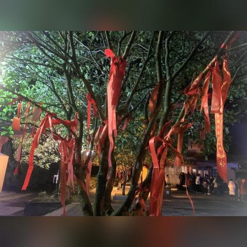 黄大仙开奖结果2023年|新趋势下的投资攻略与机遇_扩展版.9.867