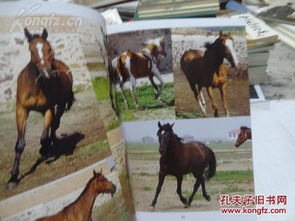 2024年香港四不像资料图|实证分析解释落实_清新款.7.598 2024年香港四不像资料图|实证分析解释落实_清新款.7.598