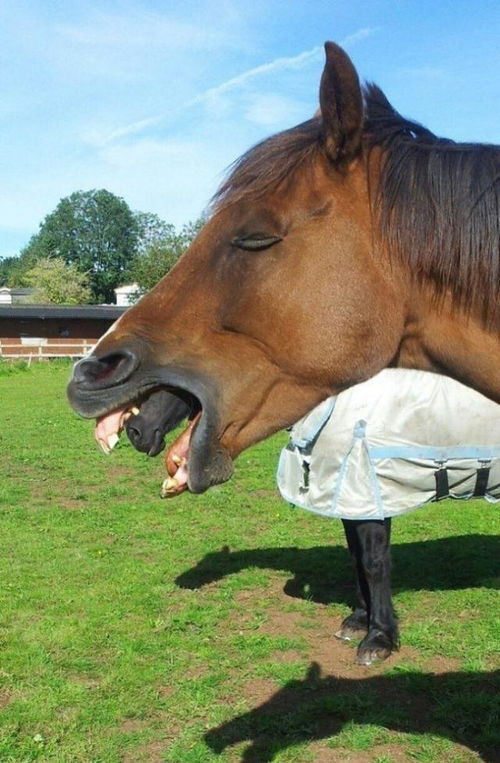 2O24年澳特马今晚图片|实时更新解释落实_经典版WSAP.9.534