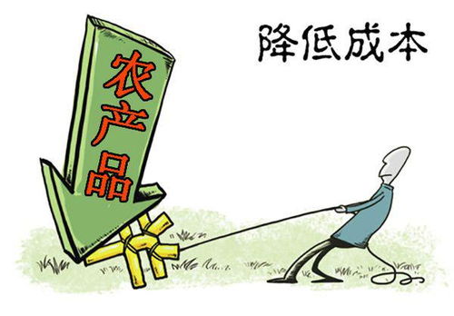 四不像2024年今期资料值得|探索城市新风尚与秘密角落_终端款.2.61