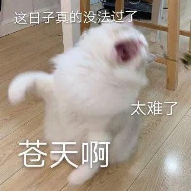 2024王中王资料免费领取|智能解答解释落实_完美款.1.876