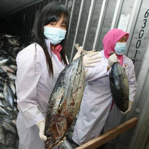 老澳门开奖结果2024开奖记录查询|奇妙探索生活中的隐秘乐趣_半成版.4.636 老澳门开奖结果2024开奖记录查询|奇妙探索生活中的隐秘乐趣_半成版.4.636