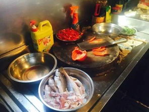 澳门正版精准特马网站|探索世界各地的美食奇观_专注版.0.195