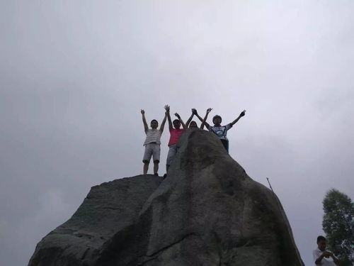 王中王72396网站|探寻城市中的隐秘美景_桌面版.0.320 王中王72396网站|探寻城市中的隐秘美景_桌面版.0.320