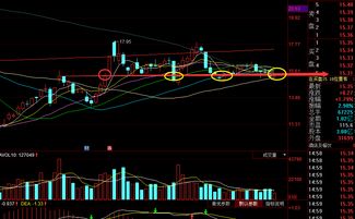 新澳六开合历史记录走势如何|探讨国产化对解答的影响_订阅版.5.514 新澳六开合历史记录走势如何|探讨国产化对解答的影响_订阅版.5.514