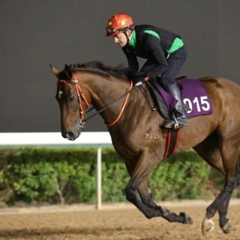 马真会传-澳门|探寻历史背后的秘密与故事_冒险版2.649 马真会传-澳门|探寻历史背后的秘密与故事_冒险版2.649