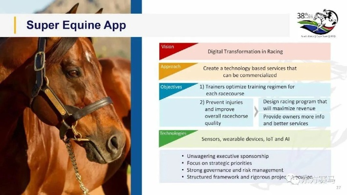 马会传真12688am|探秘美丽的海岛风情_小型集.6.641