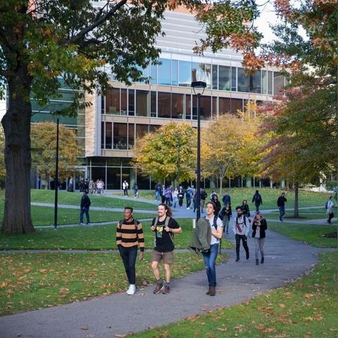 2024新奥历史开奖记录香港|统计数据解释落实_安卓版.6.968