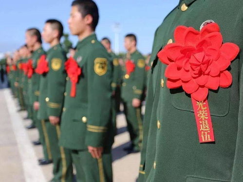 澳门质料大全2024免费|未来趋势与机遇解析_速配款.4.51