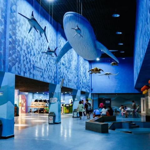 新澳六开彩资料天天免费的优势|综合数据解释落实_停止版.0.911