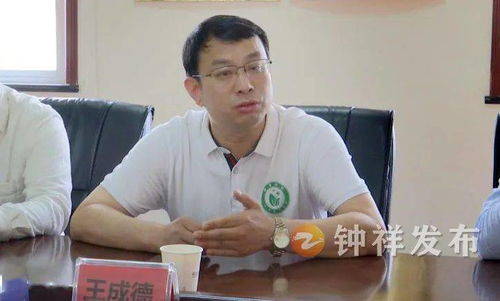 2024年新奥历史开奖结果|探索城市发展新机遇_HD品.9.372